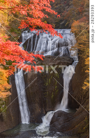 袋田の滝　秋の紅葉 28293393