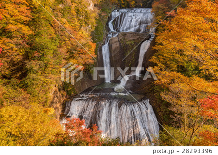 袋田の滝　秋の紅葉 28293396