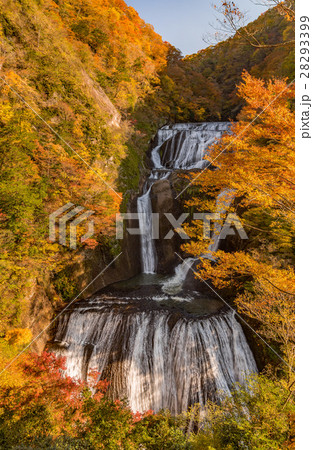 袋田の滝　秋の紅葉 28293399