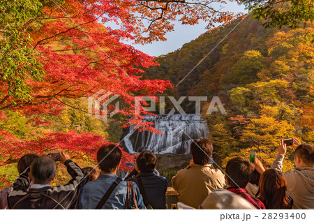 袋田の滝　観瀑台からの紅葉 28293400