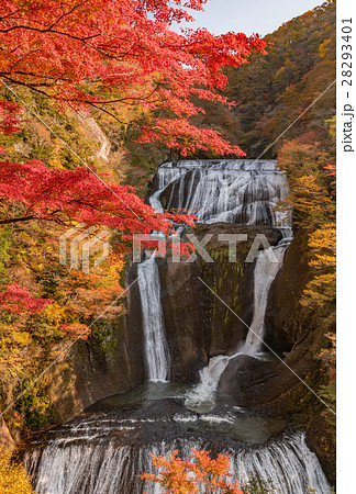 袋田の滝　秋の紅葉 28293401