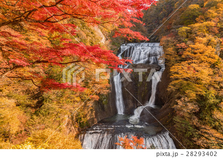 袋田の滝 秋の紅葉 袋田の滝 秋の紅葉 28293402