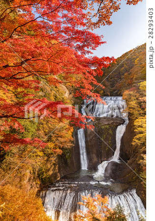 袋田の滝　秋の紅葉 28293403