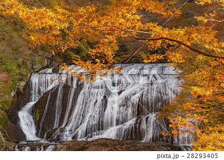 袋田の滝　秋の紅葉 28293405