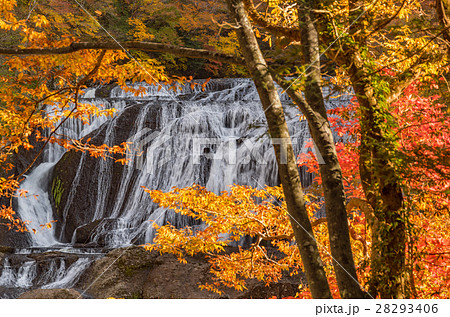袋田の滝　秋の紅葉 28293406