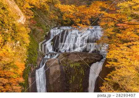 袋田の滝　秋の紅葉 28293407