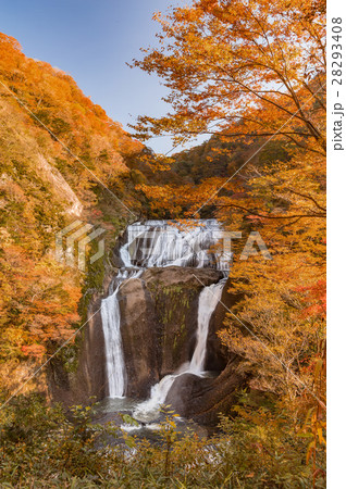袋田の滝　秋の紅葉 28293408