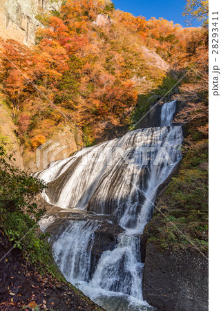 袋田の滝 秋の紅葉 袋田の滝 秋の紅葉 28293411