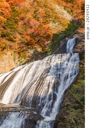 袋田の滝 秋の紅葉 袋田の滝 秋の紅葉 28293412
