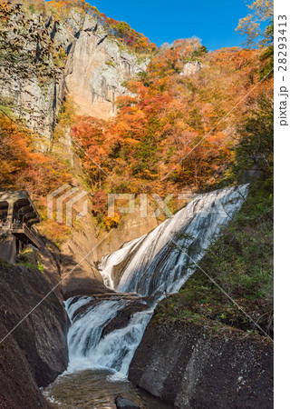 袋田の滝　秋の紅葉 28293413