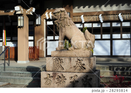 香具波志神社の狛犬-2 28293814