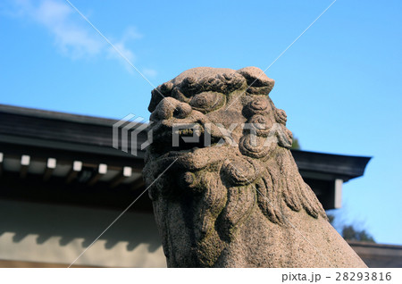 香具波志神社の狛犬-5 28293816