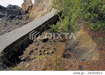 崩落した石積み( 向島、長礁鼻 ) 崩落した石積み( 向島、長礁鼻 ) 28293823