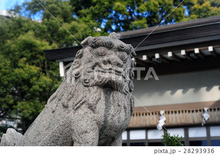 香具波志神社の狛犬-7 香具波志神社の狛犬-7 28293936