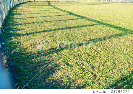 芝生 芝 芝刈 28294574