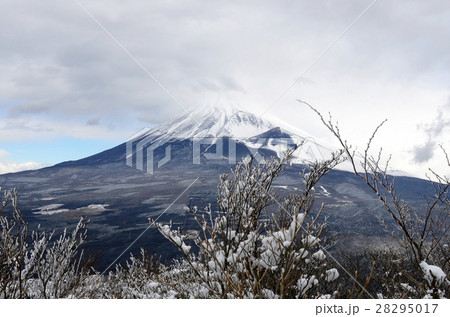 静岡愛鷹山連峰最高峰「冬の越前岳」 静岡愛鷹山連峰最高峰「冬の越前岳」 28295017