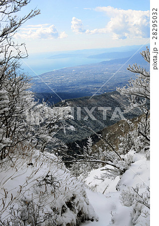 静岡愛鷹山連峰最高峰「冬の越前岳」 28295032