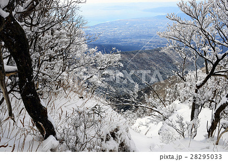 静岡愛鷹山連峰最高峰「冬の越前岳」 28295033