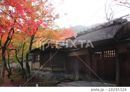紅葉 28295326