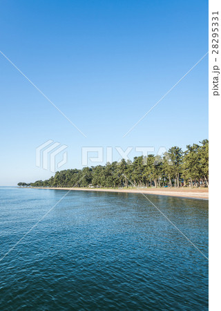 琵琶湖の湖西の松林 28295331