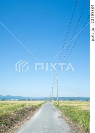 麦畑の中を走る一本道 28295334