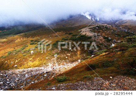 晩秋の旭岳 28295444