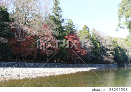 伊勢神宮を流れる五十鈴川 28295598
