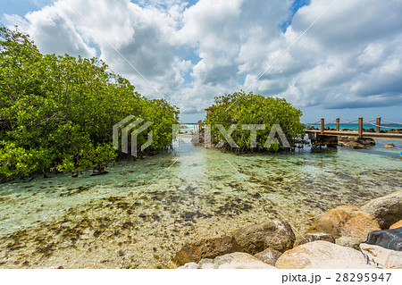 Flamingo beach at Aruba island Flamingo beach at Aruba island 28295947