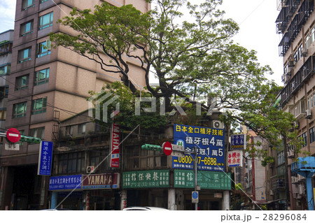 木 ツリー 樹 28296084