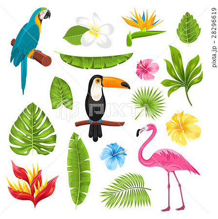 Set Tropical Flowers, Exotic Birds and Plants Set Tropical Flowers, Exotic Birds and Plants 28296619