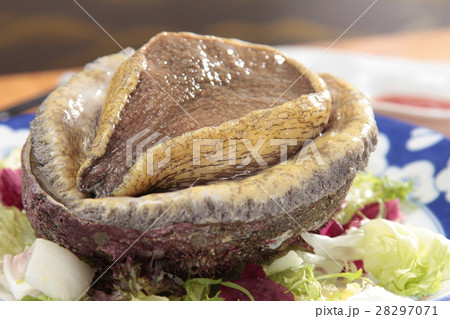 raw abalone 28297071