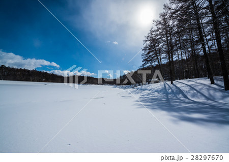 冬の大座法師池 28297670