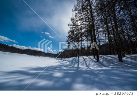 冬の大座法師池 28297672