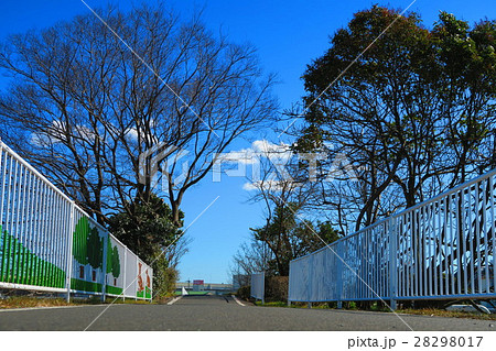 埼玉県川口市の芝川サイクリングロードの冬景色 28298017