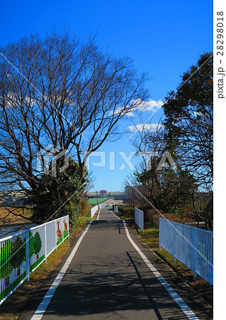 埼玉県川口市の芝川サイクリングロードの冬景色 埼玉県川口市の芝川サイクリングロードの冬景色 28298018