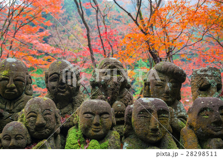 京都 おたぎ念仏寺の紅葉 京都 おたぎ念仏寺の紅葉 28298511