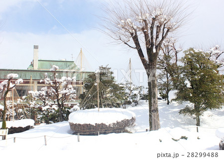 雪の丸岡城 霞ケ城公園（福井県 坂井市 丸岡町） 28299488