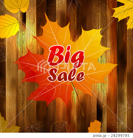 Autumn sale wood and Leaves poster. plus EPS10 Autumn sale wood and Leaves poster. plus EPS10 28299785