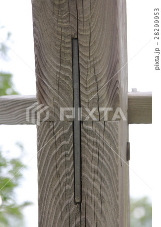 木材の接合 28299953