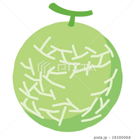 メロン メロン 28300068