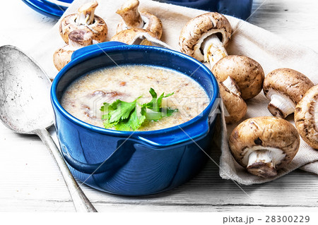 Mushroom creamy soup 28300229