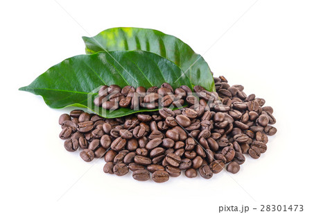 coffee grains and leaves on white background 28301473