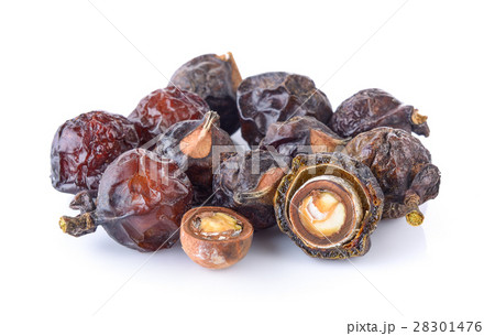 Soap nut on white background 28301476