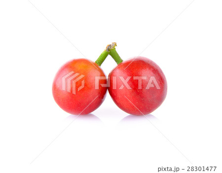 ripe coffee beans on white background 28301477