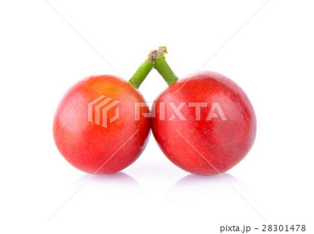 ripe coffee beans on white background 28301478
