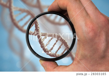 Scientist examinates DNA molecule. Scientist examinates DNA molecule. 28303165