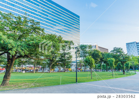 中野四季の森公園 28303562