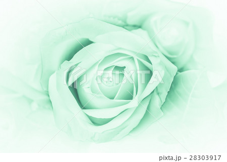 multi colored daisy flowers pattern background multi colored daisy flowers pattern background 28303917