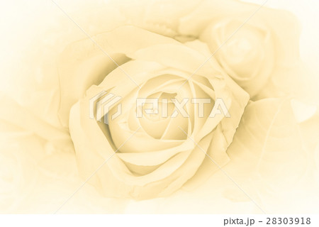 multi colored daisy flowers pattern background multi colored daisy flowers pattern background 28303918