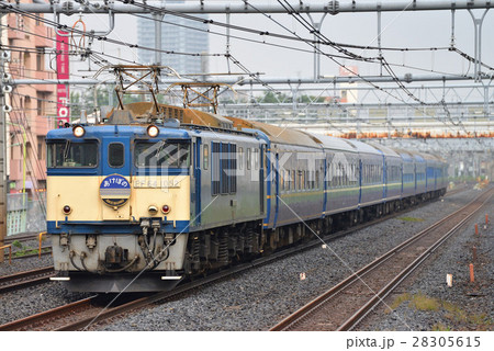 終着駅上野を目指すEF64ブルートレインあけぼの 28305615